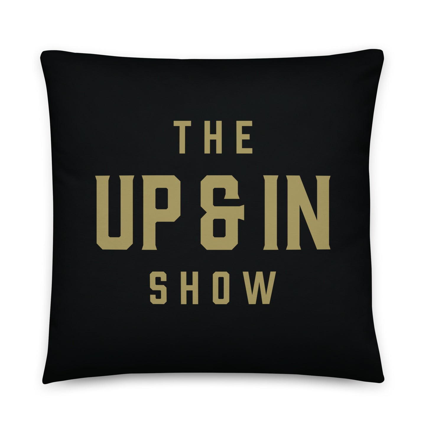 Up & In Basic Pillow