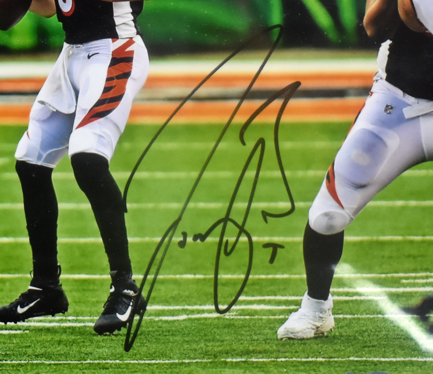 Joe Burrow - Autographed Photograph