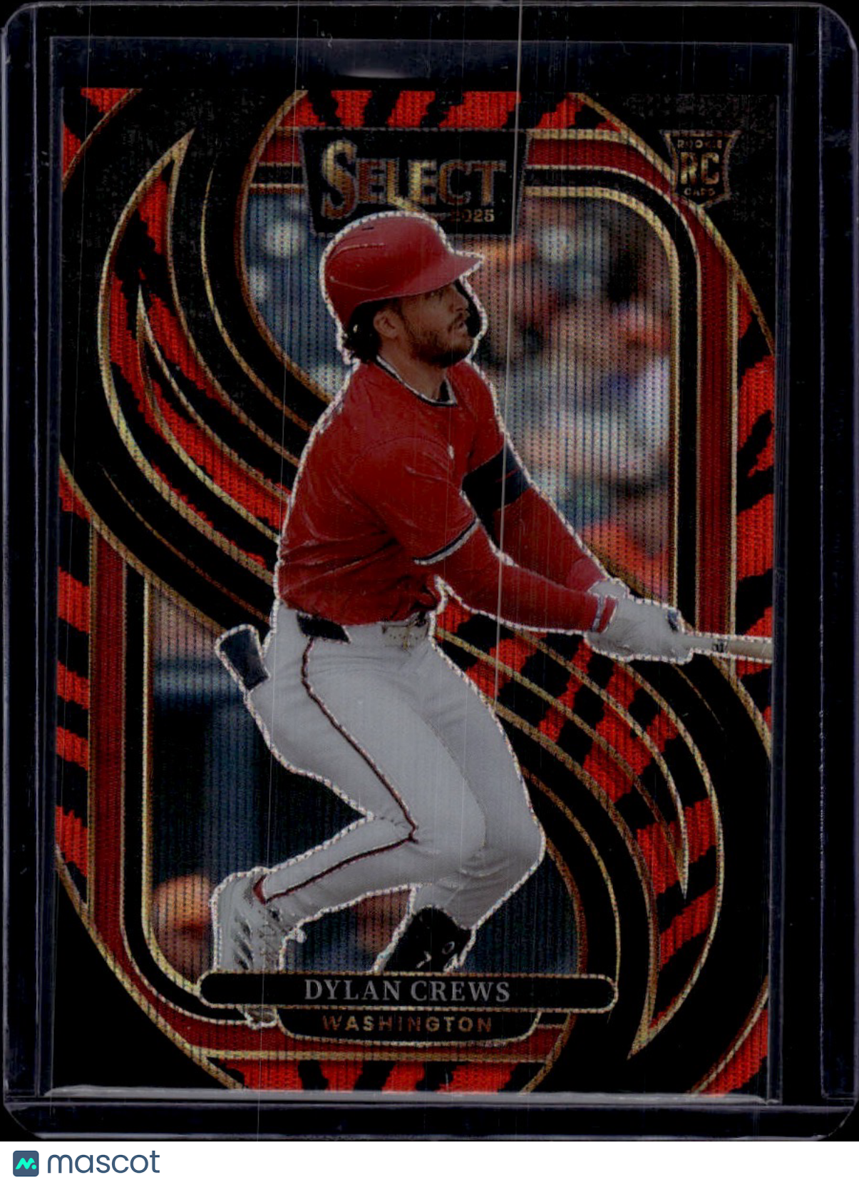 2025 Panini Select Prizm Dylan Crews Tiger Stripe SSP RC