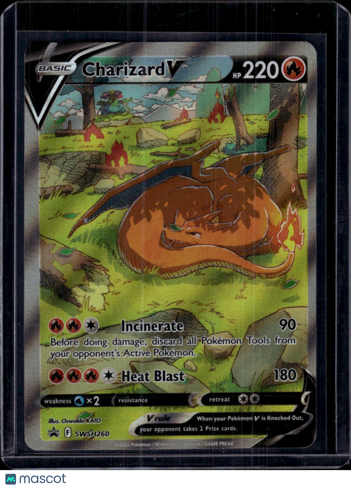 Pokemon 2022 Sword & Shield Pokemon Charizard V FA