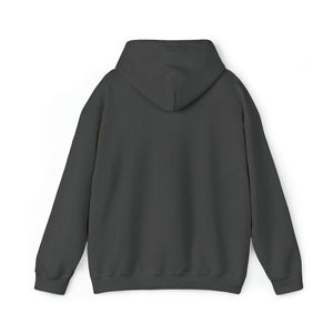 10 Second Runoff x Garnett The Goldfish Unisex Heavy Blend™ Hooded Sweatshirt