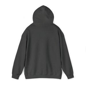 10 Second Runoff x Garnett The Goldfish Unisex Heavy Blend™ Hooded Sweatshirt