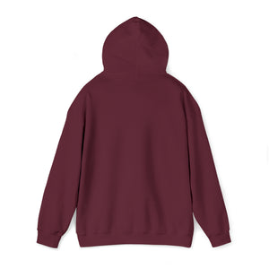 10 Second Runoff x Garnett The Goldfish Unisex Heavy Blend™ Hooded Sweatshirt