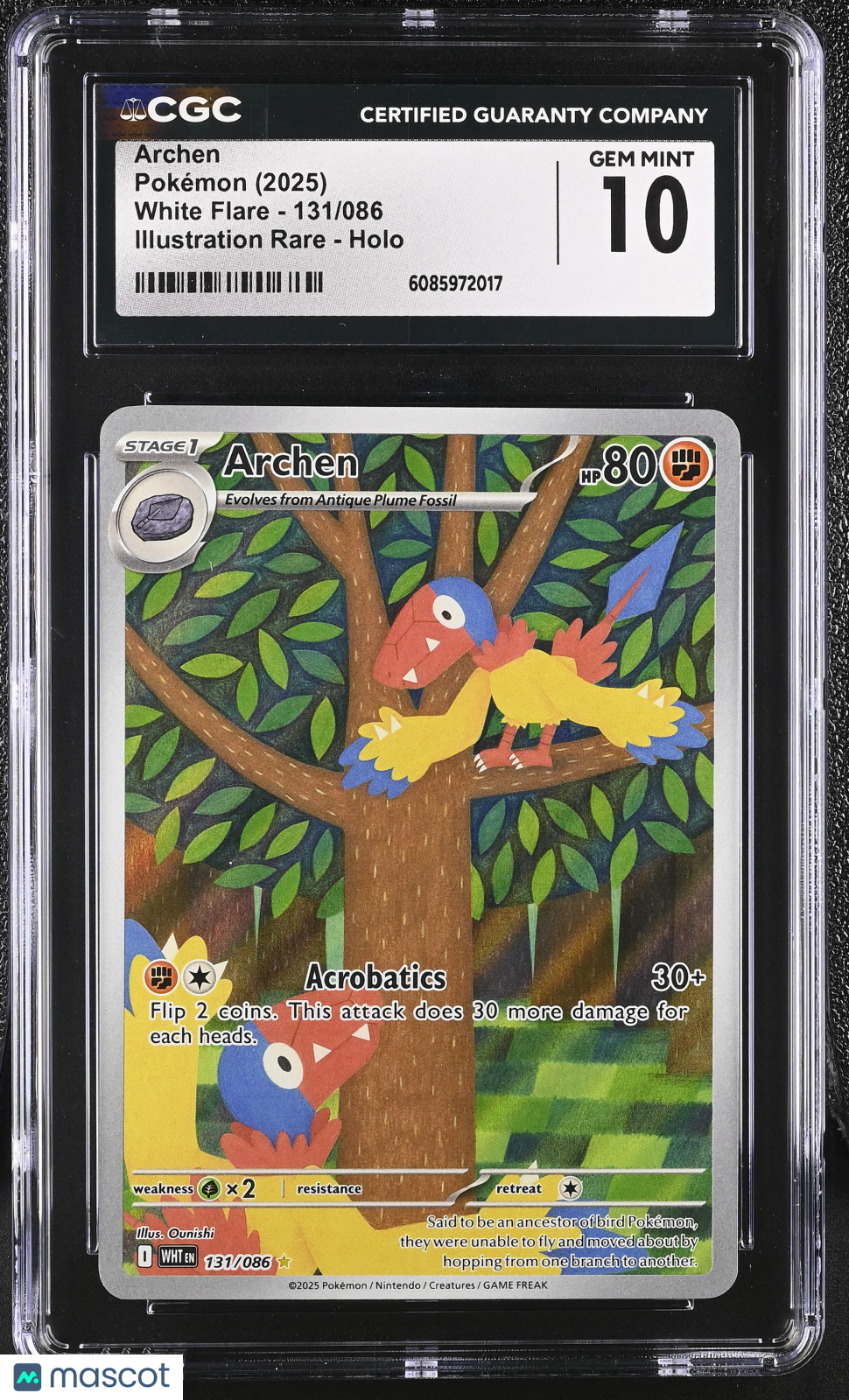 2025 Pokemon White Flare Archen Illustration Rare CGC 10