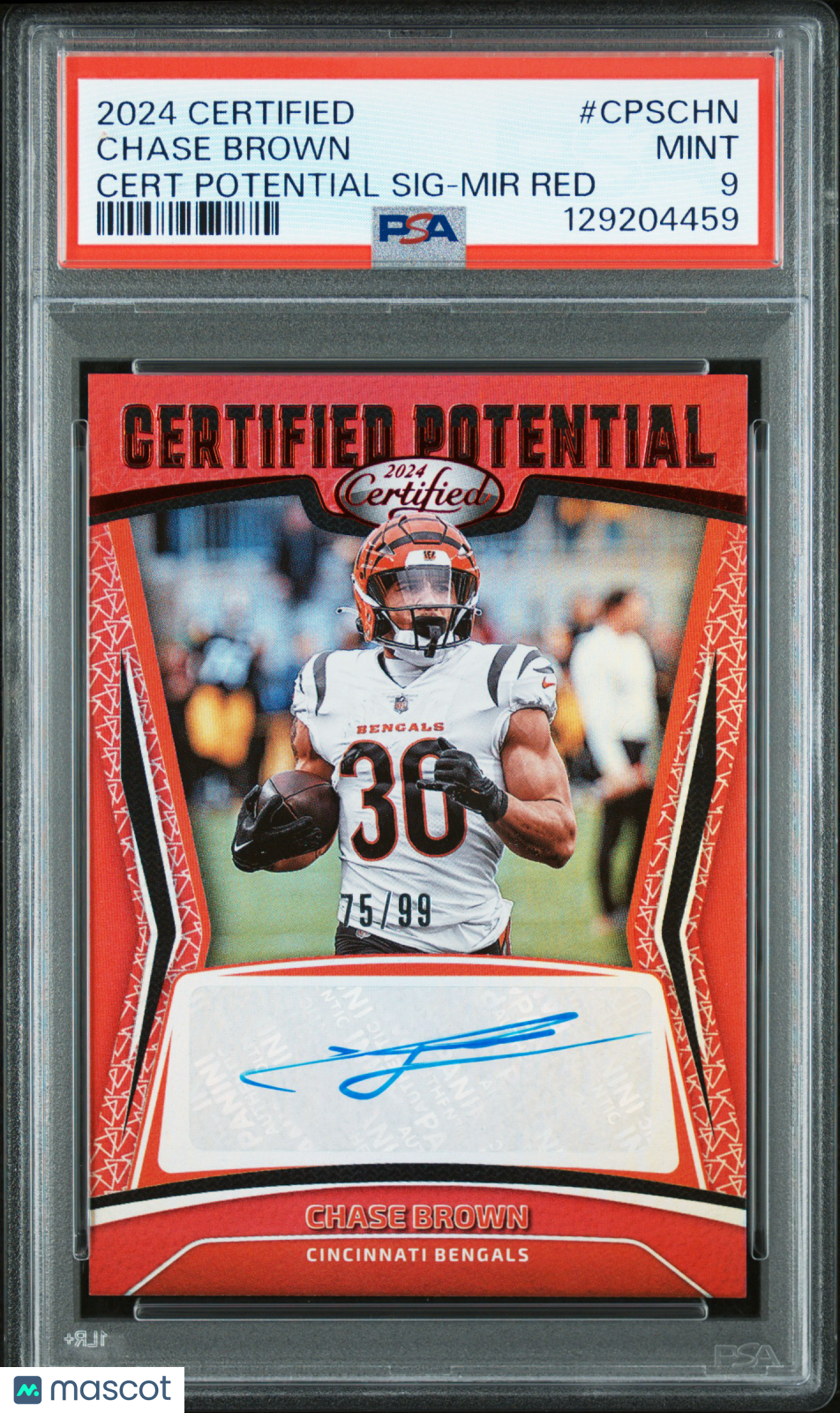 2024 Panini Certified Certified Potential Signatures Chase Brown Red /99 PSA 9